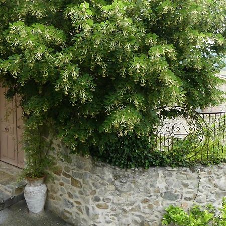 Bed and Breakfast Les Vieux Murs Montfort  Exterior foto